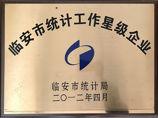 臨安市統計工作星級企業