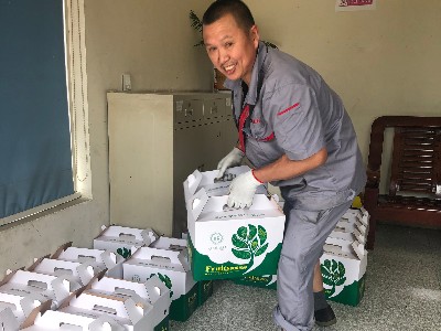 華龍剎車片廠家為員工發放夏季降溫慰問品